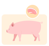 돼지